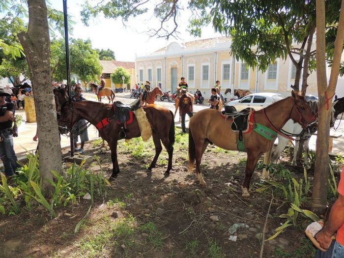 Cavalgada das mulheres tem participação de mulheres de outras cidades - Imagem 16