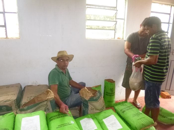 Secretaria de agricultura faz distribuicão de sementes - Imagem 5