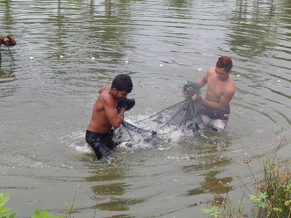 Prefeitura e Social entregam peixe para a população - Imagem 1