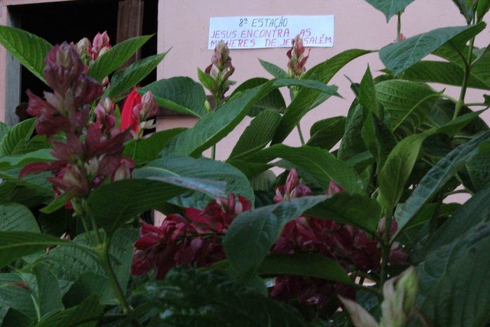 Semana Santa em Francinópolis - Imagem 89