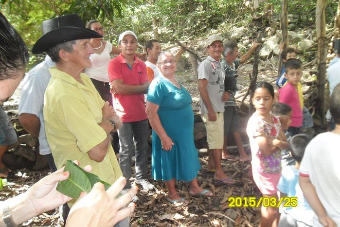 Safra de 2015 poderá ter perda acima de 60% - Imagem 2