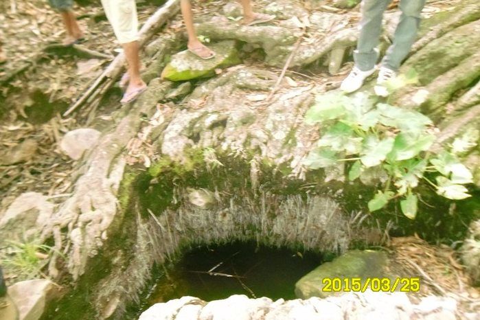 Safra de 2015 poderá ter perda acima de 60% - Imagem 1