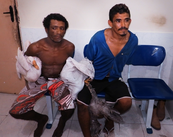 Dupla é presa acusada de invasão e furto de mais 100 galinhas - Imagem 1