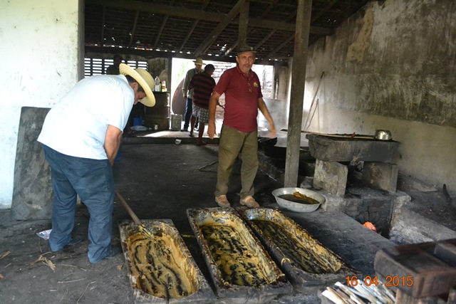 Embrapa realiza encontro em Boa Hora para implantar Microdestilaria  - Imagem 8