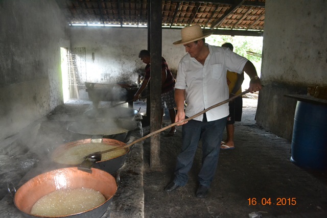 Embrapa realiza encontro em Boa Hora para implantar Microdestilaria  - Imagem 11