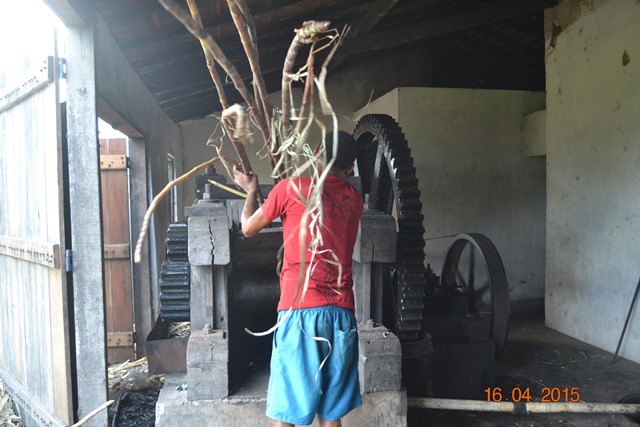 Embrapa realiza encontro em Boa Hora para implantar Microdestilaria  - Imagem 9