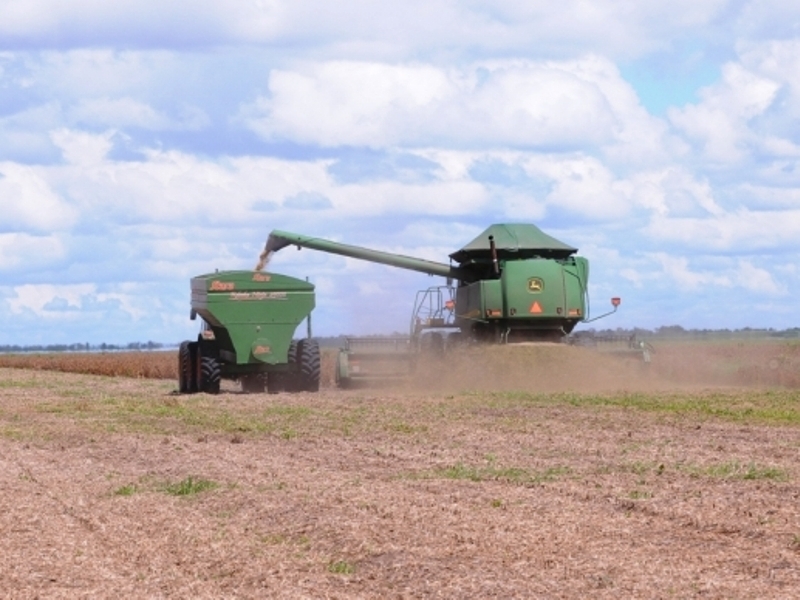 Município de Ribeiro Gonçalves é 3° maior produtor de soja do estado do Piauí