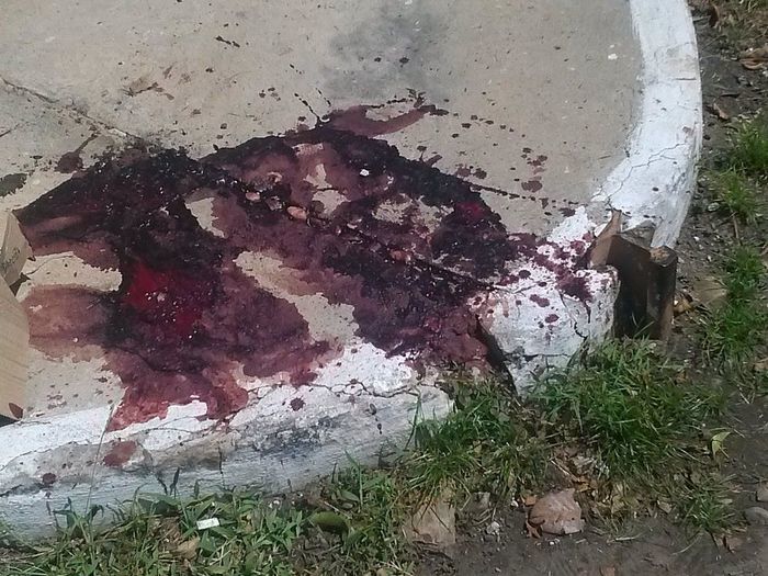 Acidente entre carro e moto deixa duas pessoas feridas em Campo Maior - Imagem 4