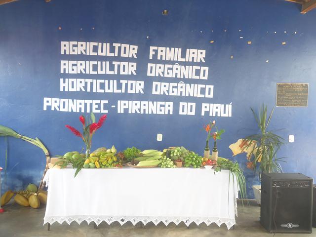 Encerramento dos Cursos do Pronatec Campo em Ipiranga - Imagem 12