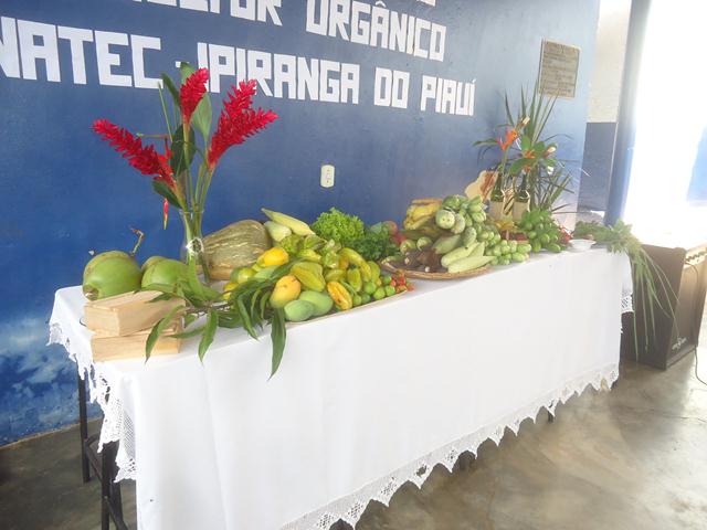 Encerramento dos Cursos do Pronatec Campo em Ipiranga - Imagem 11