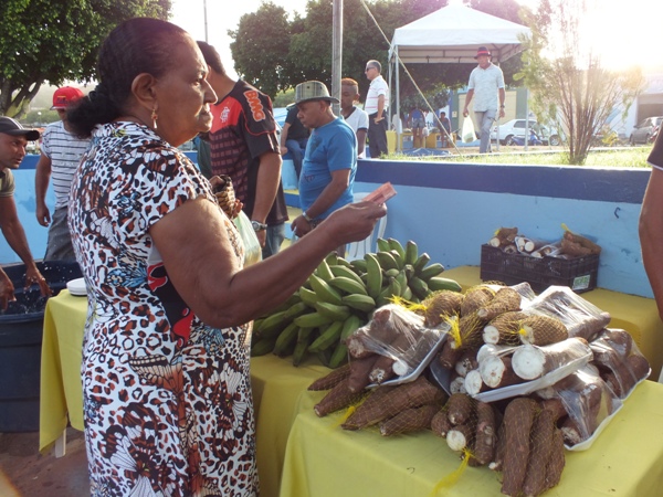 Santa Rosa do Piauí realiza 1ª Feira Agroecológica com produtores do município - Imagem 8