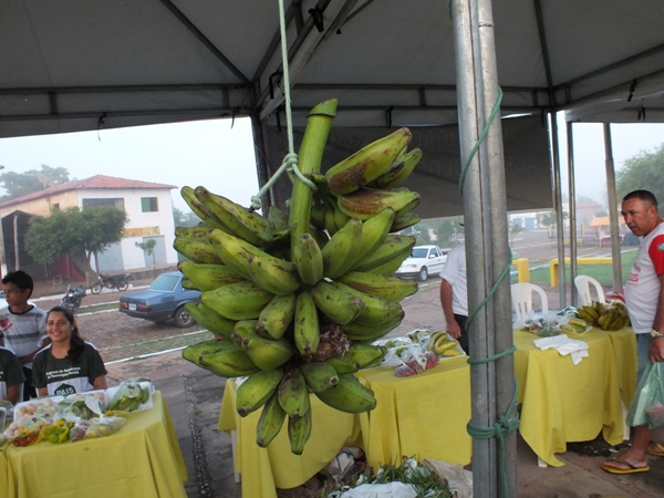Santa Rosa do Piauí realiza 1ª Feira Agroecológica com produtores do município - Imagem 2