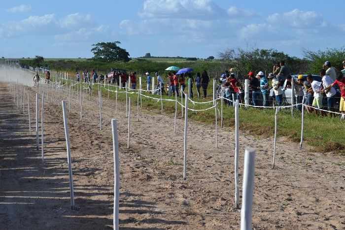 Corrida de Cavalos anima tarde do primeiro dia de festejos em Alegrete e “Adora Alegrete” encerra a noite - Imagem 45