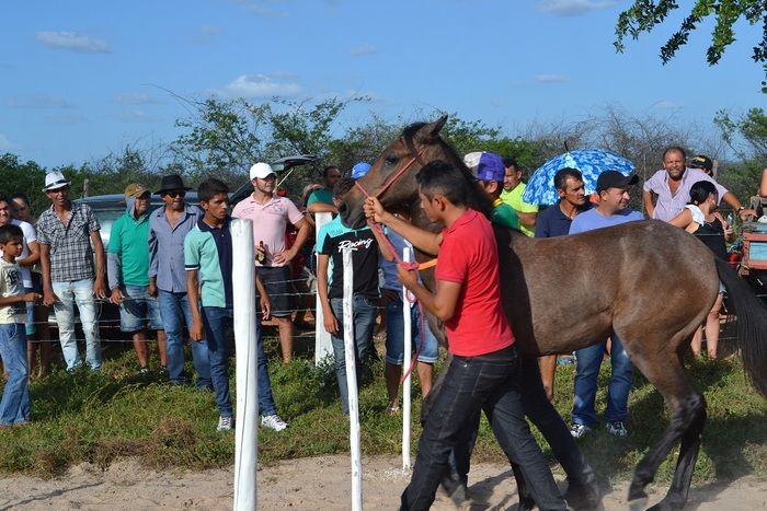 Corrida de Cavalos anima tarde do primeiro dia de festejos em Alegrete e “Adora Alegrete” encerra a noite - Imagem 43