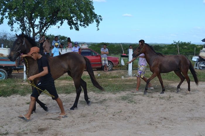 Corrida de Cavalos anima tarde do primeiro dia de festejos em Alegrete e “Adora Alegrete” encerra a noite - Imagem 19