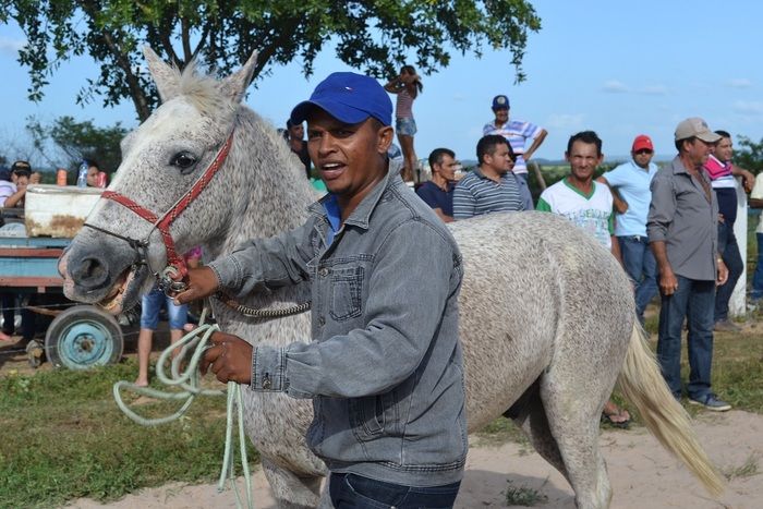 Corrida de Cavalos anima tarde do primeiro dia de festejos em Alegrete e “Adora Alegrete” encerra a noite - Imagem 40