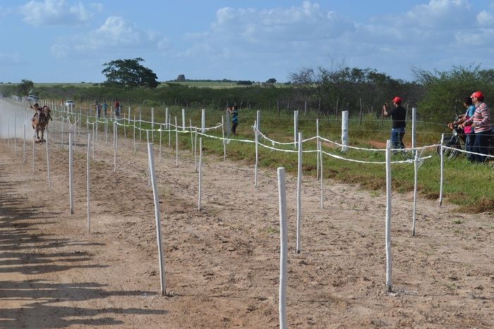 Corrida de Cavalos anima tarde do primeiro dia de festejos em Alegrete e “Adora Alegrete” encerra a noite - Imagem 26