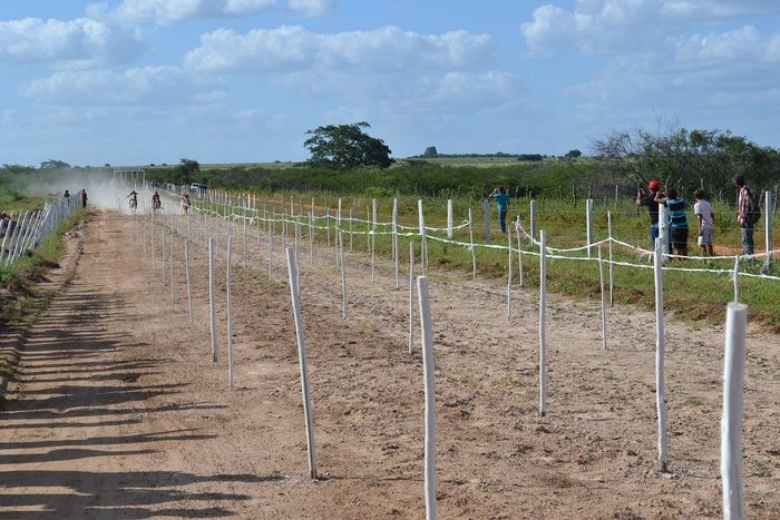 Corrida de Cavalos anima tarde do primeiro dia de festejos em Alegrete e “Adora Alegrete” encerra a noite - Imagem 23