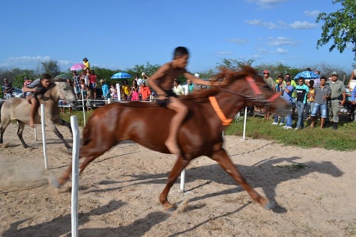 Corrida de Cavalos anima tarde do primeiro dia de festejos em Alegrete e “Adora Alegrete” encerra a noite - Imagem 39