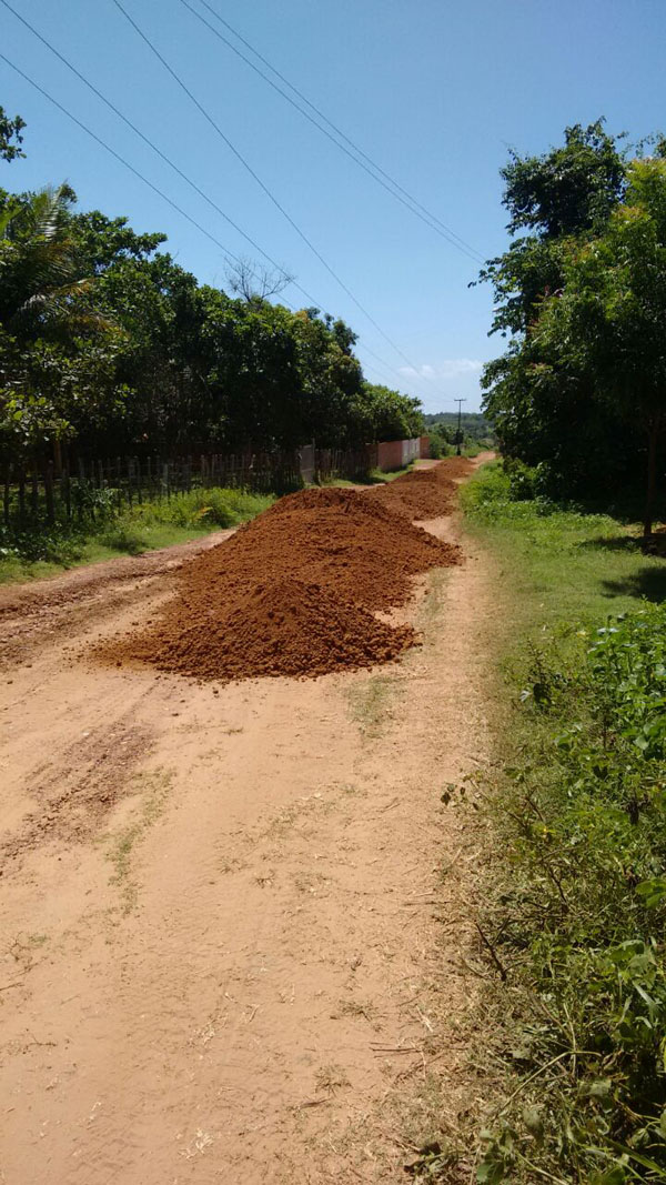 Prefeitura intensifica trabalho de limpeza pública da cidade de Brasileira - Imagem 5