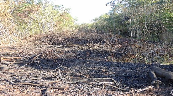 Lançado Loteamento Rural Opalas do Cabral - Imagem 10