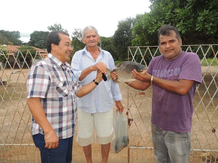 Prefeitura de Água Branca distribui duas toneladas de peixes a famílias carentes - Imagem 1