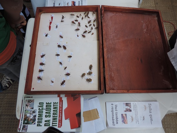 Monsenhor Gil realizou campanha de combate à dengue - Imagem 23