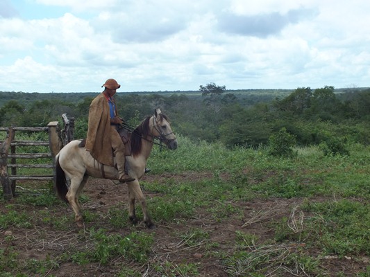 Aniversário de 51 ANOS de Emancipação política de Dom Expedito Lopes - Imagem 7
