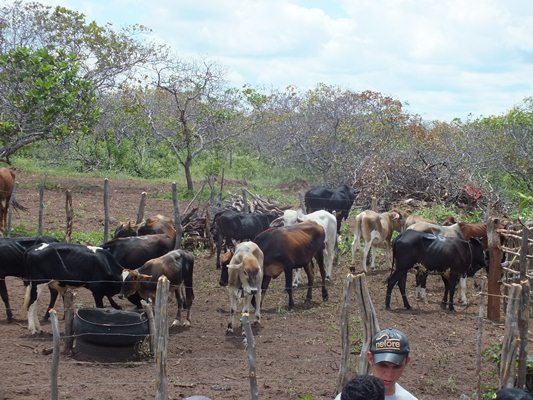 Aniversário de 51 ANOS de Emancipação política de Dom Expedito Lopes - Imagem 13