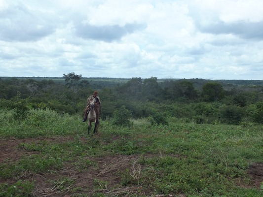 Aniversário de 51 ANOS de Emancipação política de Dom Expedito Lopes - Imagem 6