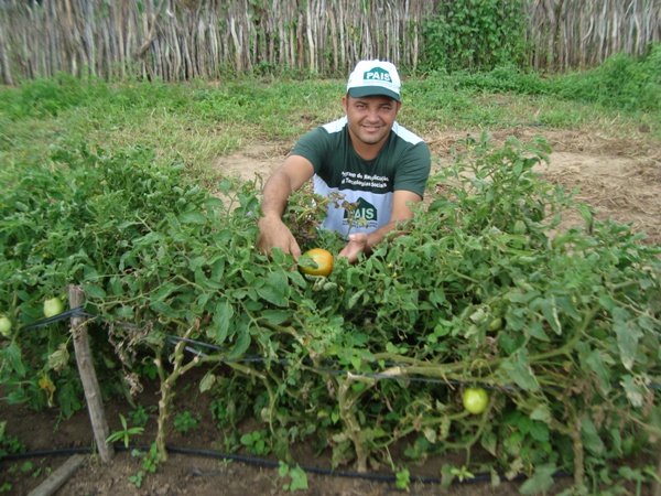 Prefeitura de Santa Rosa realizará Feira Agroecológica no dia 25 de abril - Imagem 3