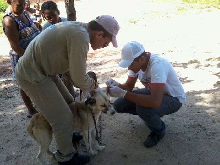 Agentes de Endemias fazem teste rápido em cães na zona rural - Imagem 1