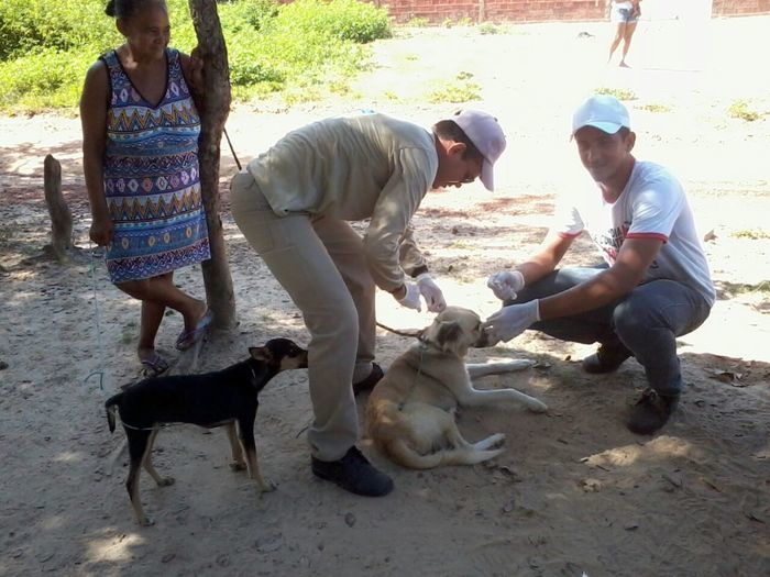 Agentes de Endemias fazem teste rápido em cães na zona rural - Imagem 3