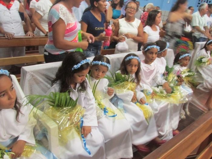 Fieis Participam da Procissão de Encerramento dos Festejos de Nossa Senhora de Fátima em Agricolândia - Imagem 15