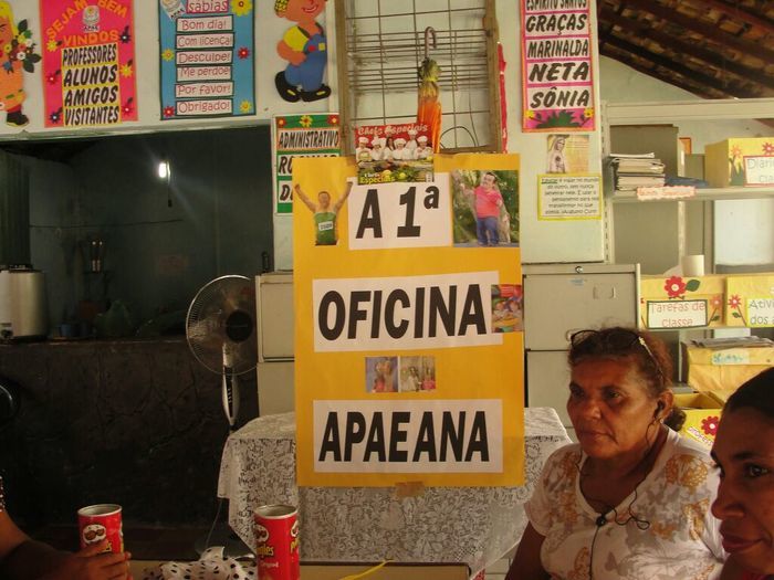 APAE de Barras realizou I Oficina de Artesanato - Imagem 9