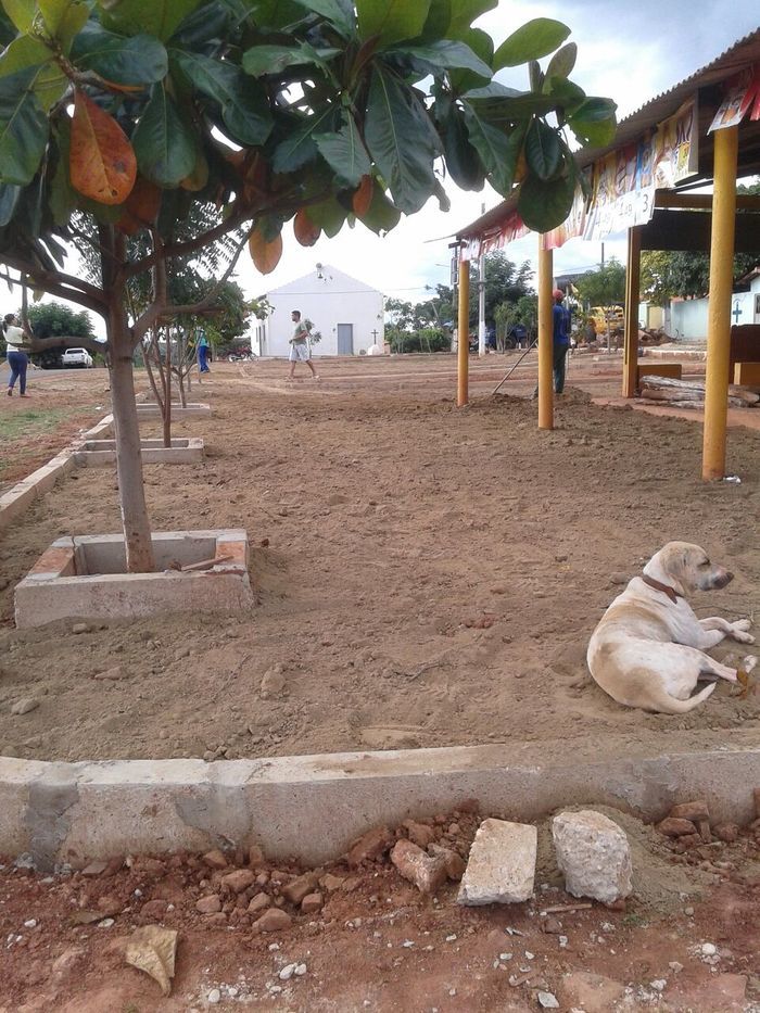 Prefeitura constrói praça com recursos próprios na Malhada Vermelha  - Imagem 5