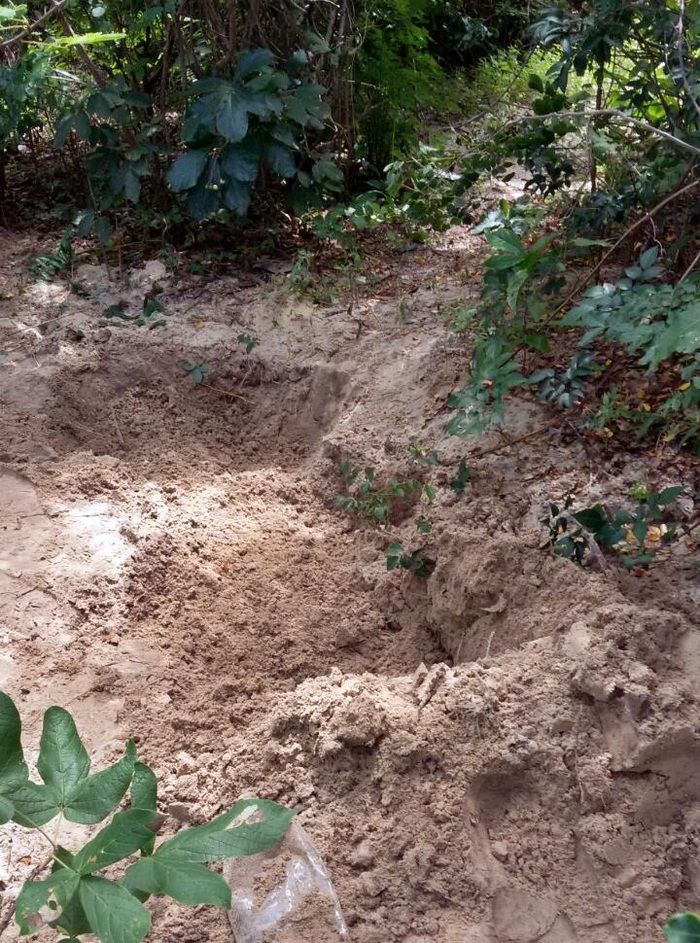 PM encontra peças de moto enterradas em Parnaíba - Imagem 1