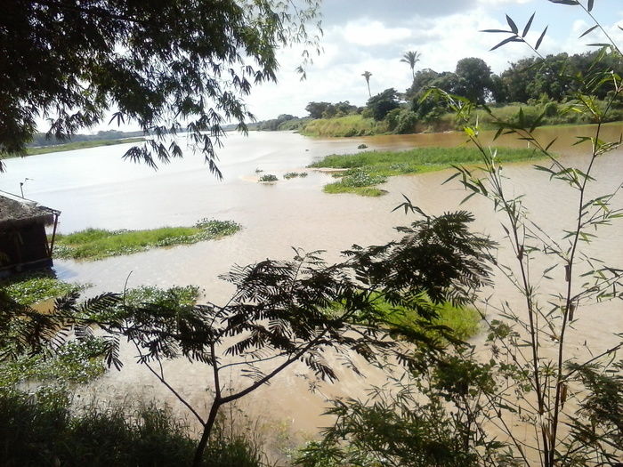 Projeto da Escola Roque Alencar leva alunos ao Parque Zoobotânico em Teresina - Imagem 8