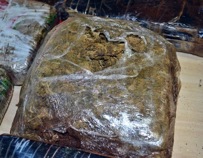 Polícia Federal apreende 19Kg de maconha no norte do PI - Imagem 6