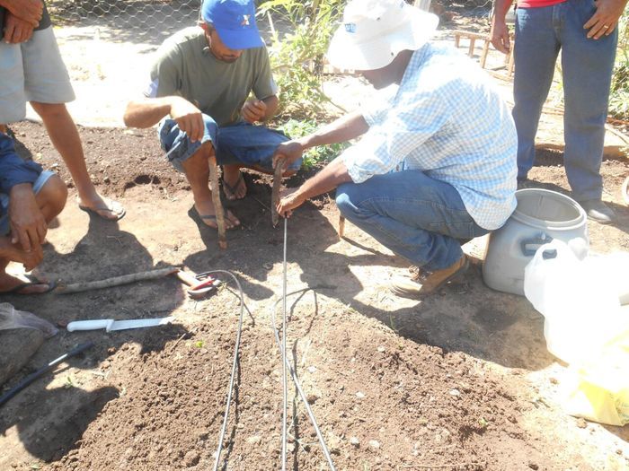 CODEVASF instala kits de irrigação em Francinópolis - Imagem 3