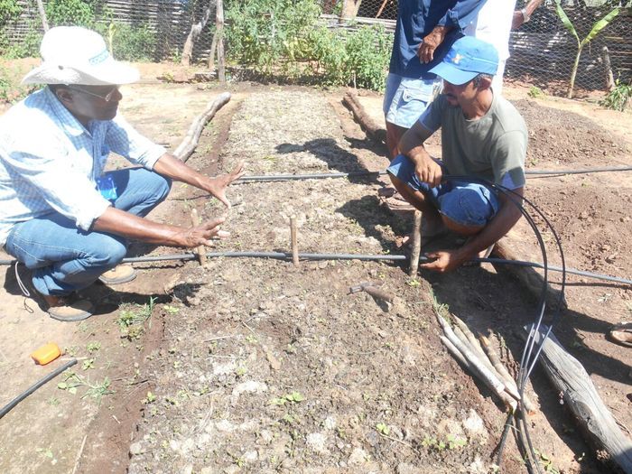 CODEVASF instala kits de irrigação em Francinópolis - Imagem 40
