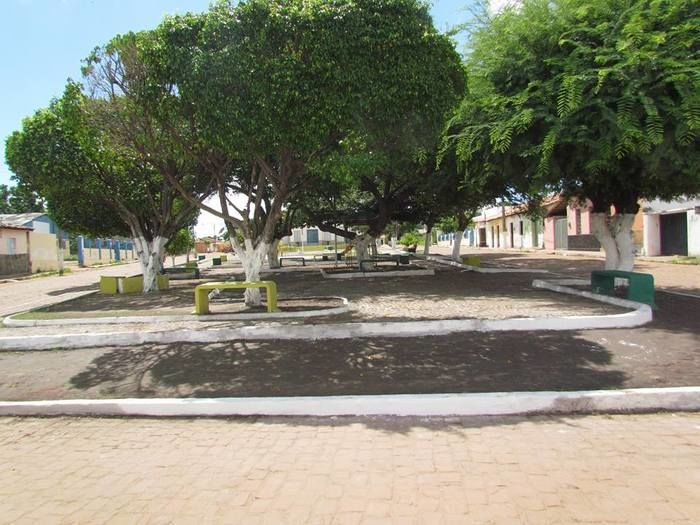 Prefeitura realiza limpeza de Praças do município - Imagem 1