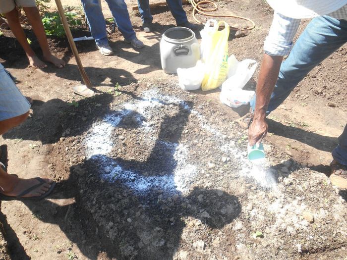 CODEVASF instala kits de irrigação em Francinópolis - Imagem 9