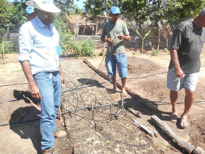 CODEVASF instala kits de irrigação em Francinópolis - Imagem 42