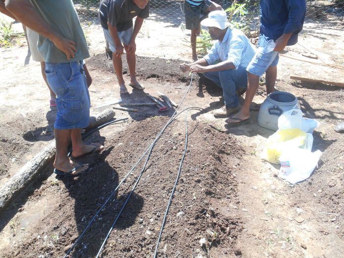 CODEVASF instala kits de irrigação em Francinópolis - Imagem 4