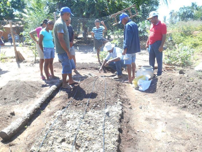 CODEVASF instala kits de irrigação em Francinópolis - Imagem 12