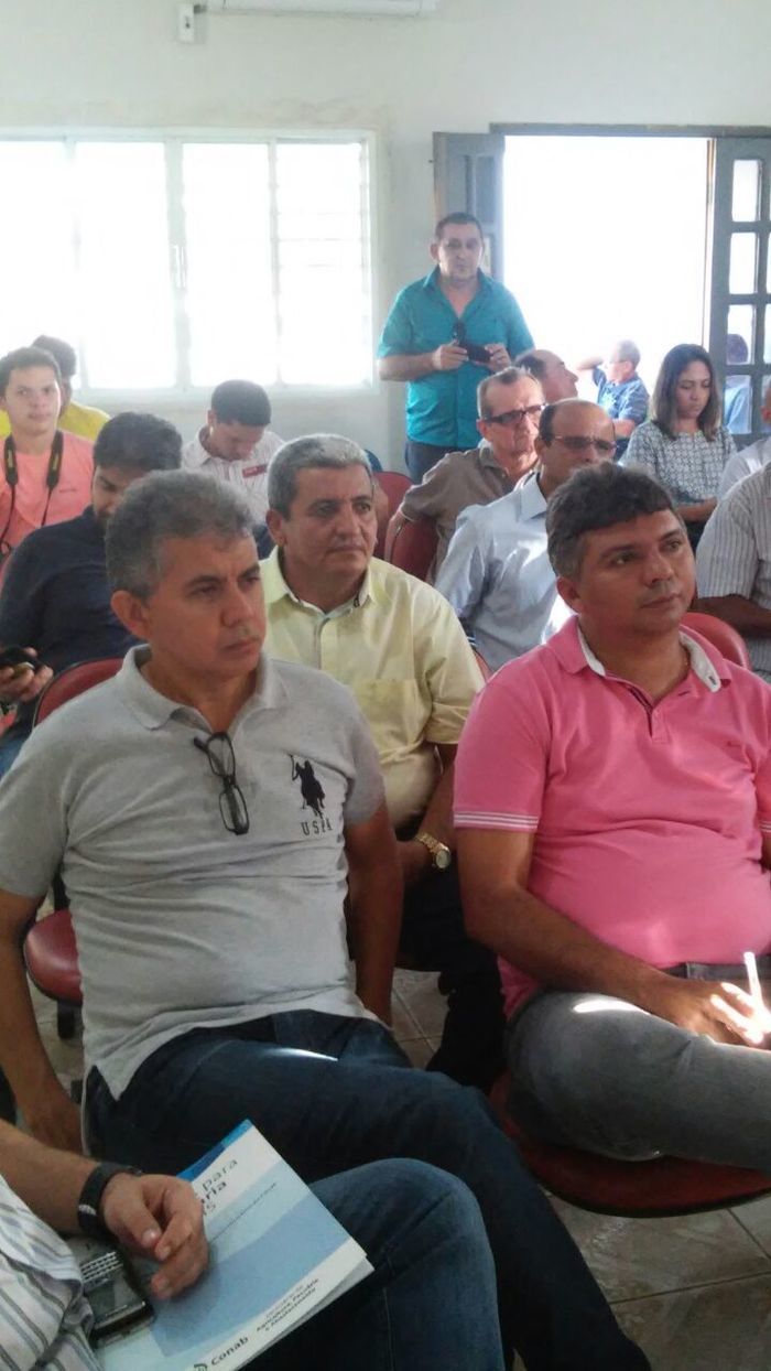 Prefeitos amadurecem ideia de criar o território de desenvolvimento dos Carnaubais - Imagem 1