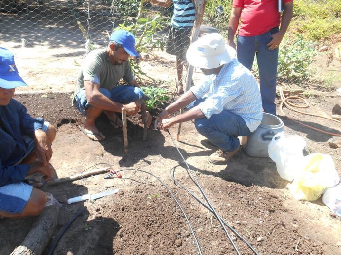 CODEVASF instala kits de irrigação em Francinópolis - Imagem 5