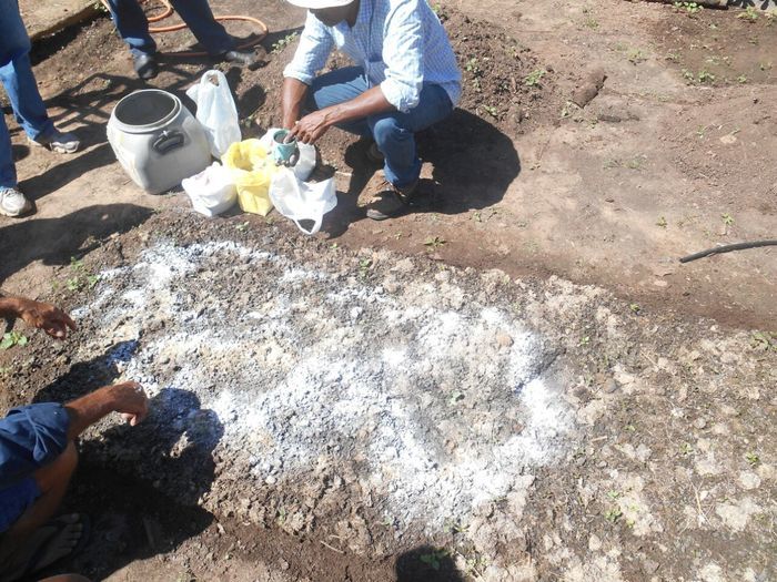 CODEVASF instala kits de irrigação em Francinópolis - Imagem 10