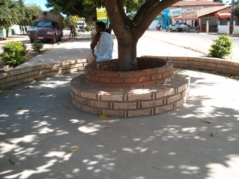 Em fase final obras de urbanização no canteiro central da Avenida Álvaro Mendes